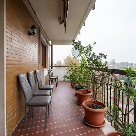 Venice H&s Garden